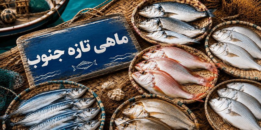 ماهی جنوب